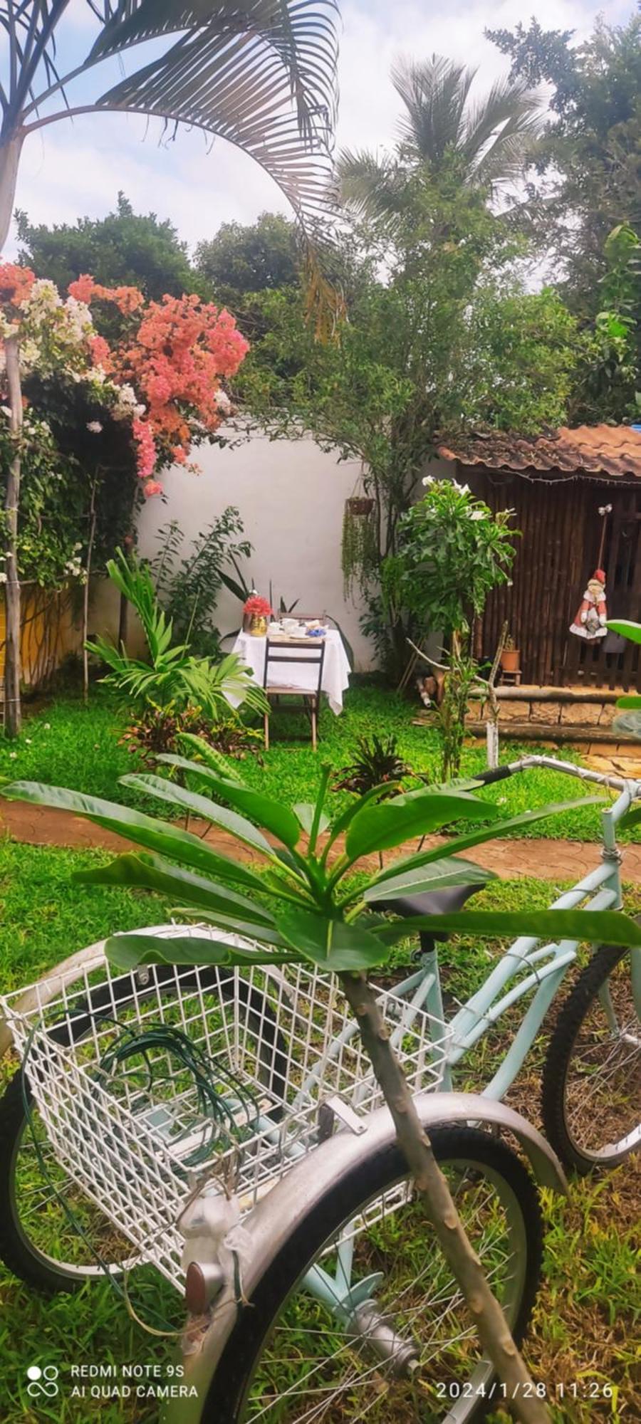 مبيت وإفطار Ticul Quinta Rosita المظهر الخارجي الصورة
