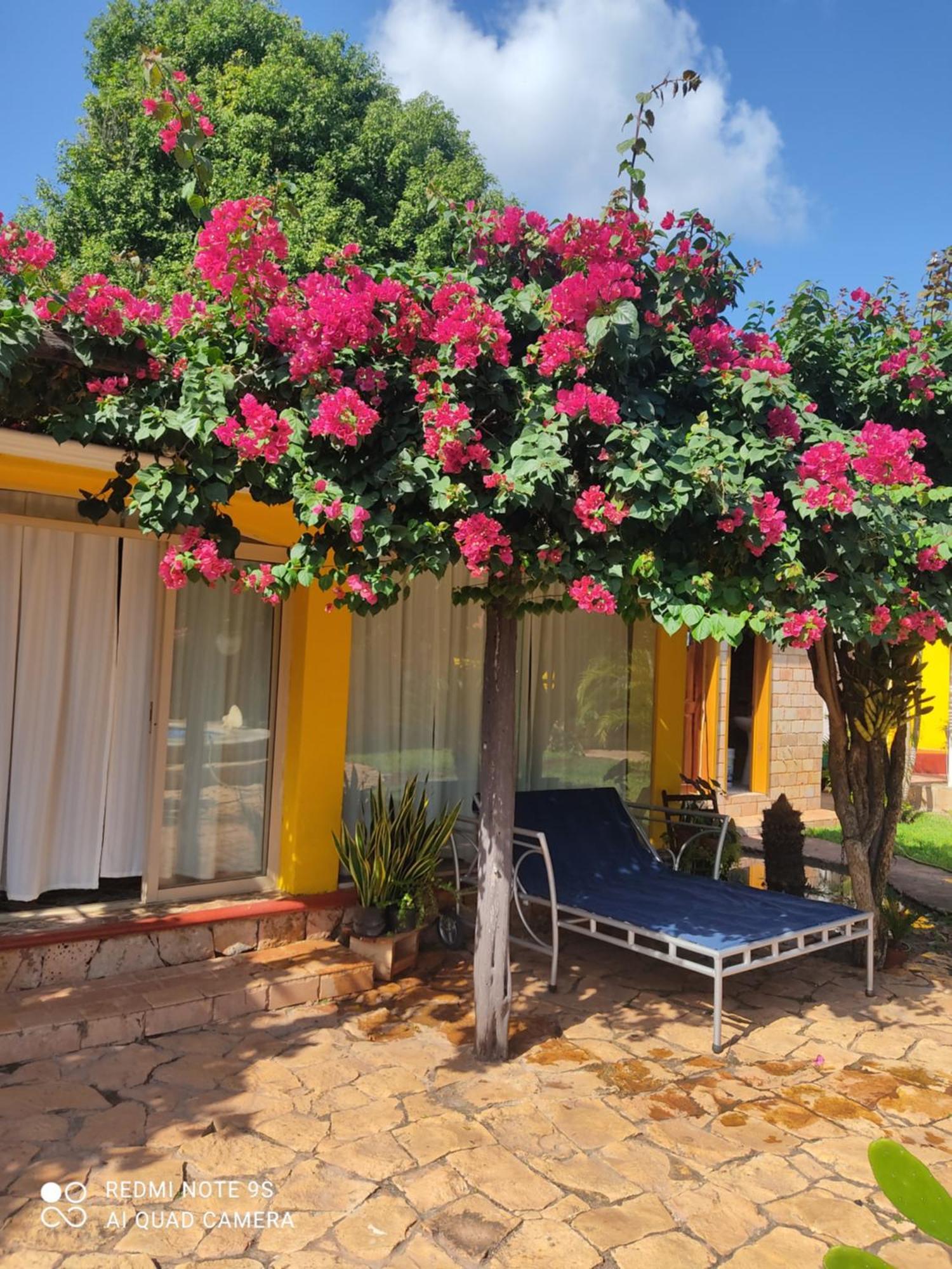 مبيت وإفطار Ticul Quinta Rosita المظهر الخارجي الصورة