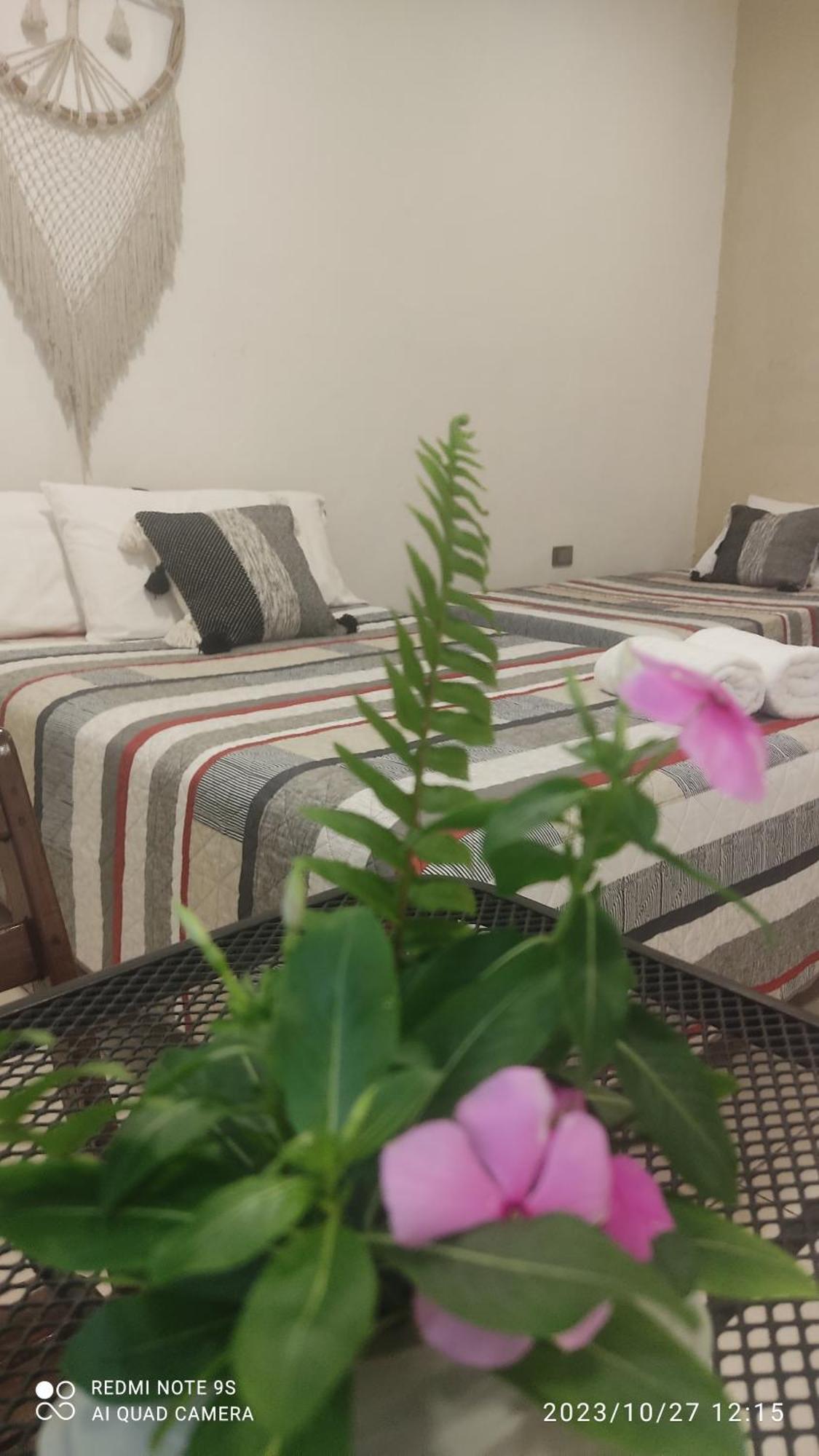 مبيت وإفطار Ticul Quinta Rosita المظهر الخارجي الصورة