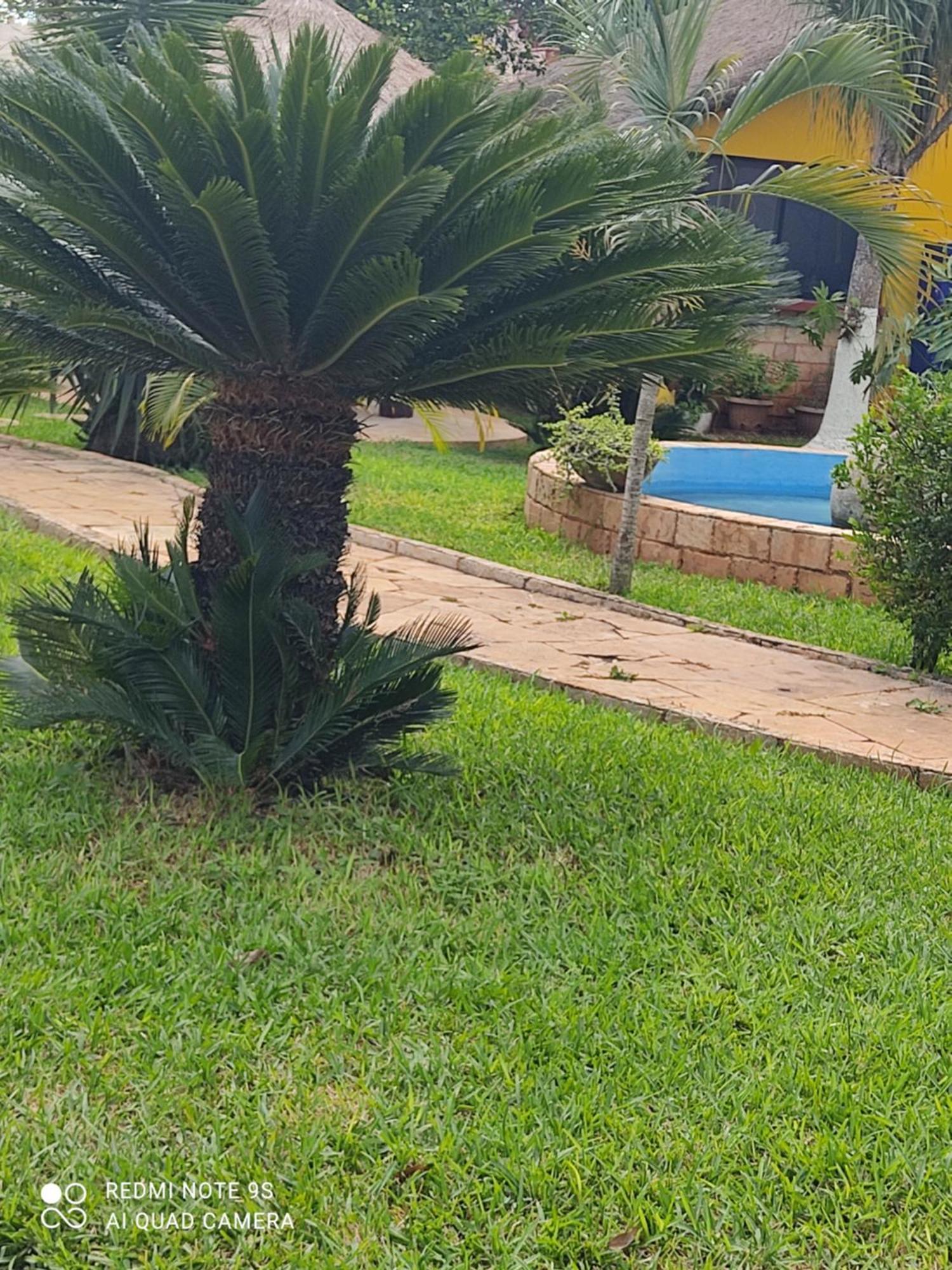 مبيت وإفطار Ticul Quinta Rosita المظهر الخارجي الصورة