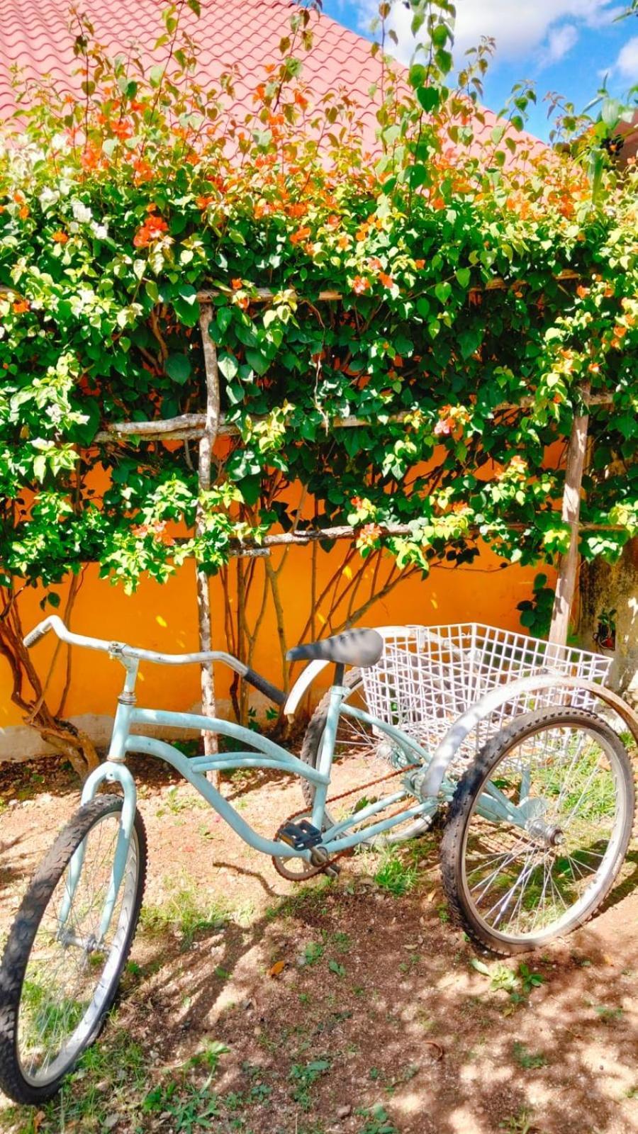 مبيت وإفطار Ticul Quinta Rosita المظهر الخارجي الصورة