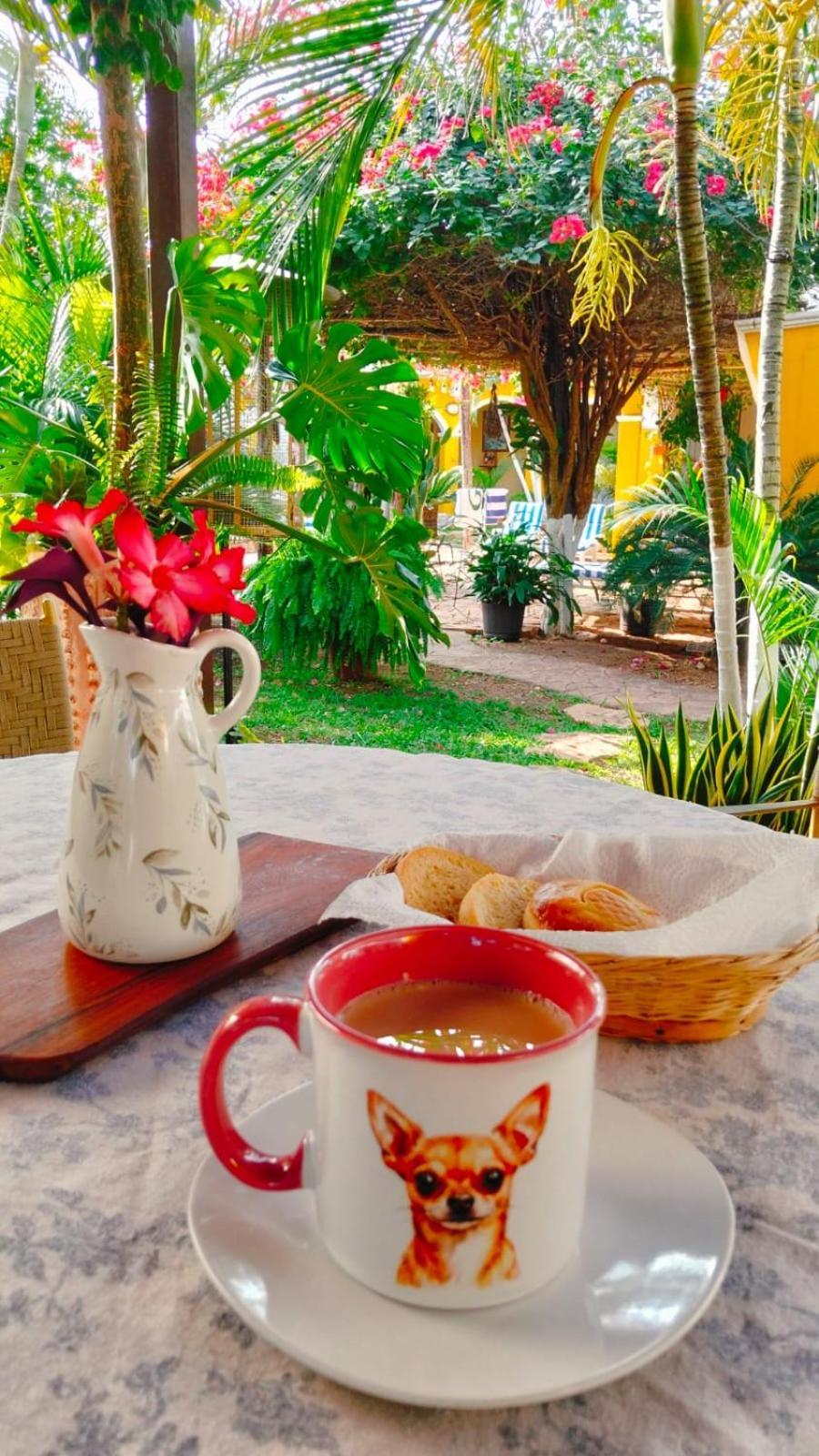 مبيت وإفطار Ticul Quinta Rosita المظهر الخارجي الصورة
